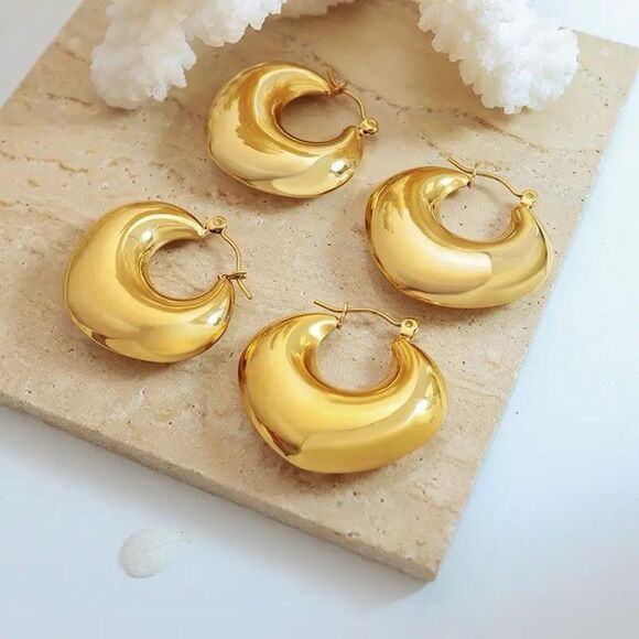 18K Gold Plated Stainless Steel Hoops Earrings - Picture 1 of 3